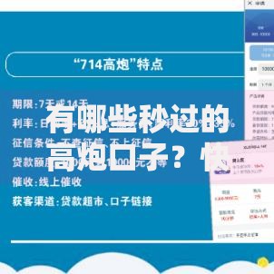 有哪些秒过的高炮口子？快速审核贷款渠道解析