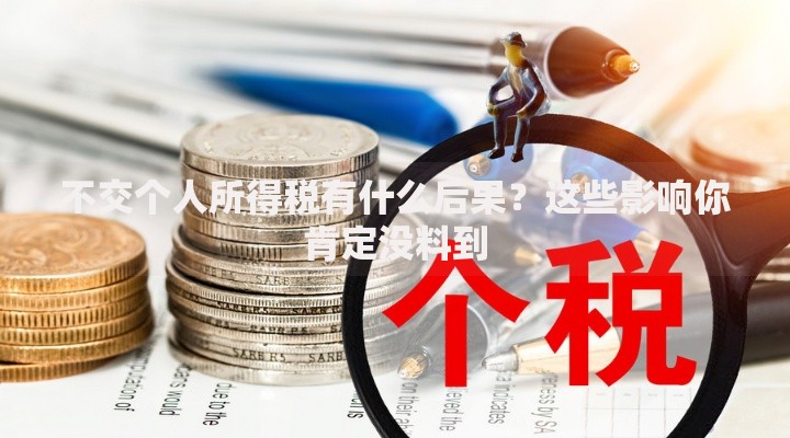 不交个人所得税有什么后果？这些影响你肯定没料到