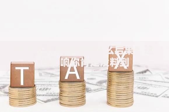 不交个人所得税有什么后果？这些影响你肯定没料到