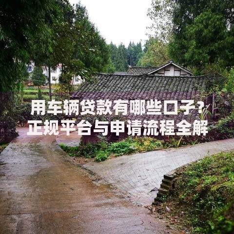 用车辆贷款有哪些口子？正规平台与申请流程全解析