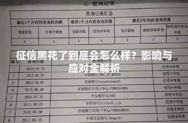 哪些黑户能下款的口子？深度解析黑户贷款渠道与申请技巧
