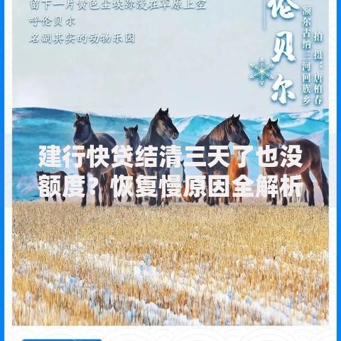 建行快贷结清三天了也没额度？恢复慢原因全解析