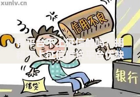 有平台不上征信的吗？揭秘不上征信借贷平台优缺点