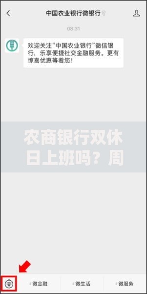 农商银行双休日上班吗？周末营业时间与业务办理指南