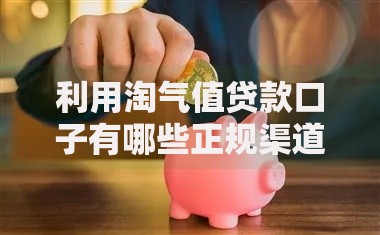 利用淘气值贷款口子有哪些正规渠道？申请流程与风险解析