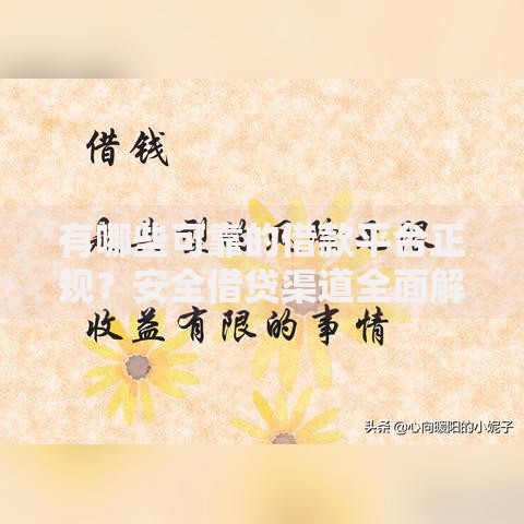 有哪些可靠的借款平台正规？安全借贷渠道全面解析