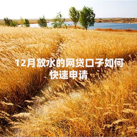 12月放水的网贷口子如何快速申请