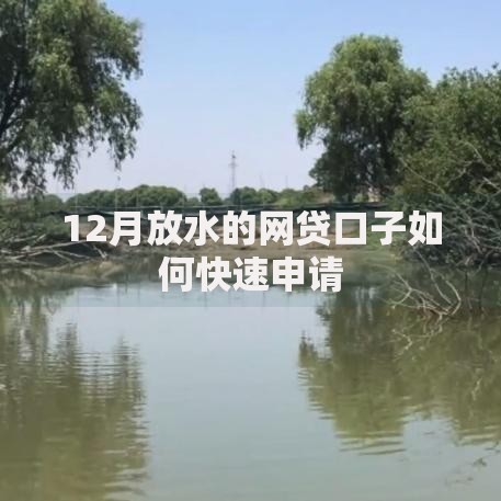 12月放水的网贷口子如何快速申请