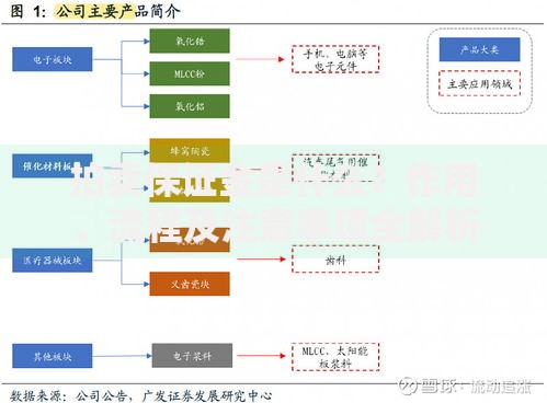 拍卖保证金是什么？作用、流程及注意事项全解析