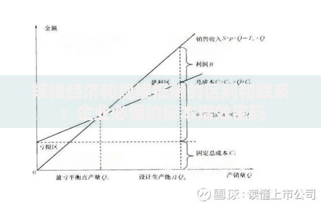 规模经济和规模报酬的区别和联系：企业必懂的降本增效密码