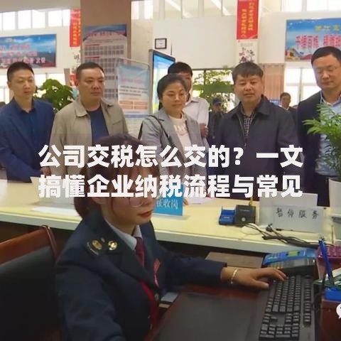 公司交税怎么交的？一文搞懂企业纳税流程与常见问题