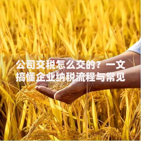 公司交税怎么交的？一文搞懂企业纳税流程与常见问题