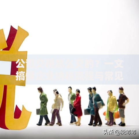 公司交税怎么交的？一文搞懂企业纳税流程与常见问题