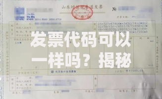 发票代码可以一样吗？揭秘重复发票背后的风险与合规要点