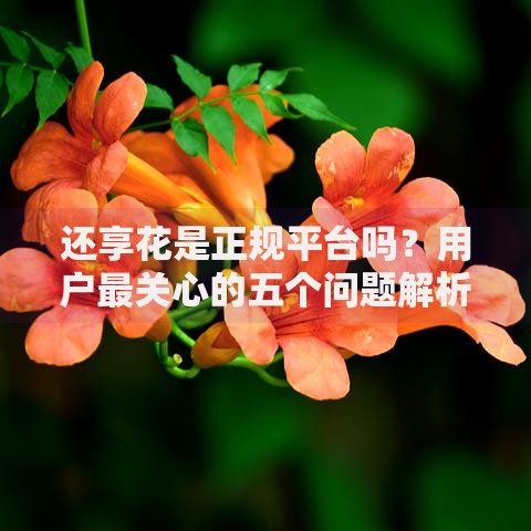 还享花是正规平台吗？用户最关心的五个问题解析