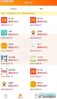 还有哪些口子容易下款？这些渠道通过率高、放款快