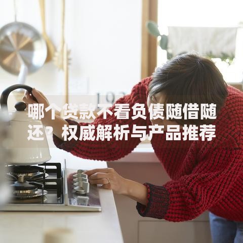 哪个贷款不看负债随借随还？权威解析与产品推荐
