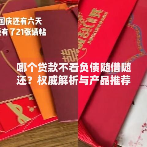 哪个贷款不看负债随借随还？权威解析与产品推荐