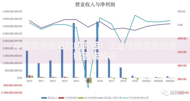 净利润为负可能的原因：企业亏损背后的关键因素解析