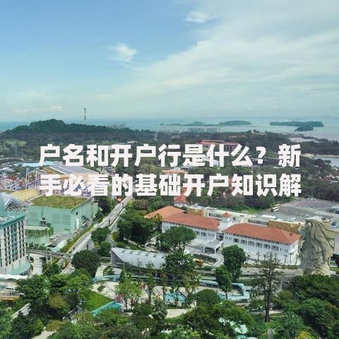 户名和开户行是什么？新手必看的基础开户知识解析