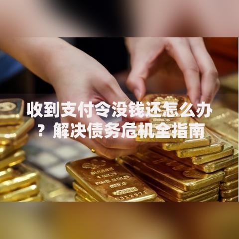 收到支付令没钱还怎么办？解决债务危机全指南