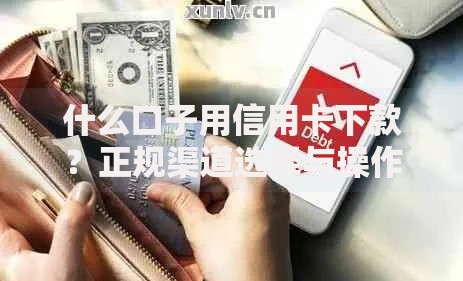 什么口子用信用卡下款？正规渠道选择与操作指南