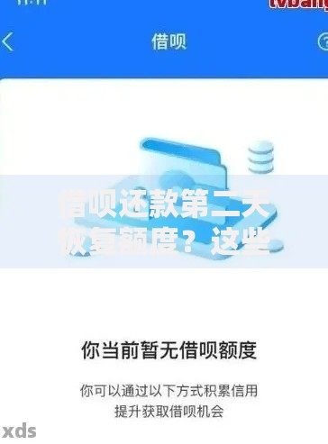 借呗还款第二天恢复额度？这些细节不注意可能影响信用！