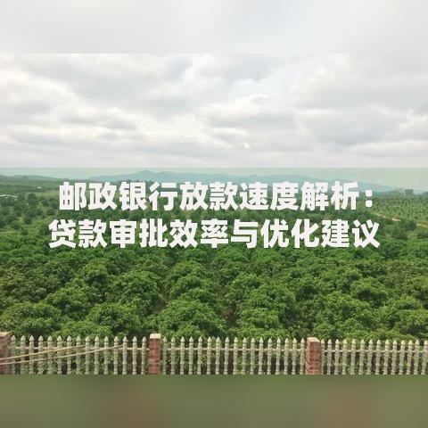 邮政银行放款速度解析：贷款审批效率与优化建议