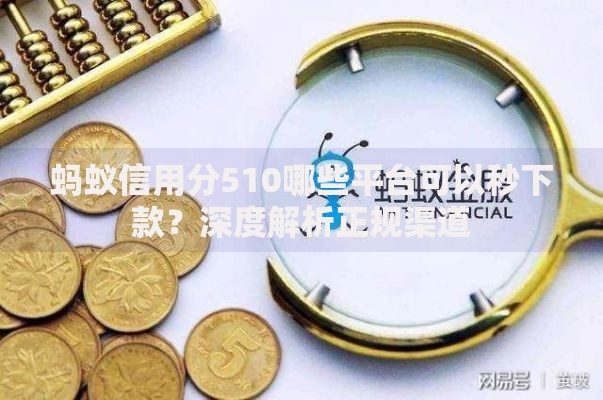 蚂蚁信用分510哪些平台可以秒下款？深度解析正规渠道