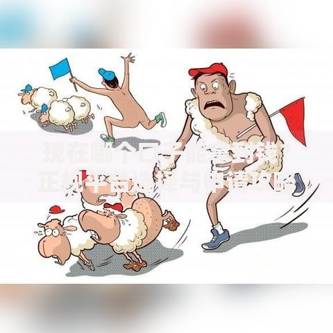 现在哪个口子能拿到钱？正规平台选择与申请攻略