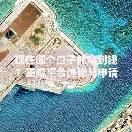现在哪个口子能拿到钱？正规平台选择与申请攻略