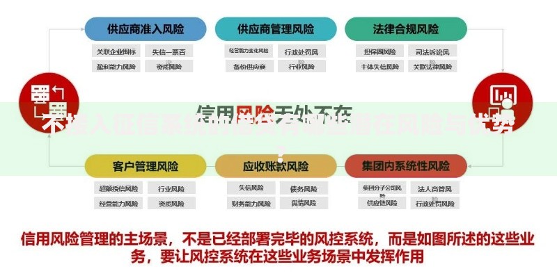 不接入征信系统的借贷有哪些潜在风险与优势？