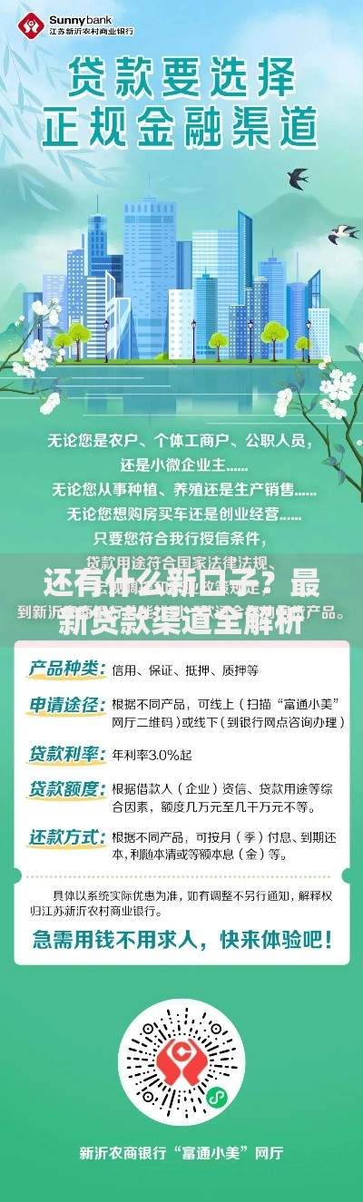还有什么新口子？最新贷款渠道全解析