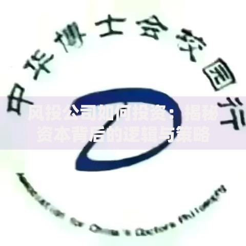 风投公司如何投资：揭秘资本背后的逻辑与策略