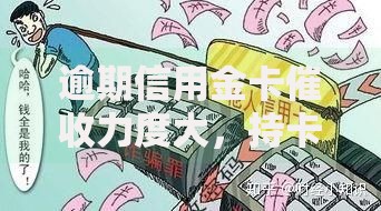 逾期信用金卡催收力度大，持卡人如何应对风险？