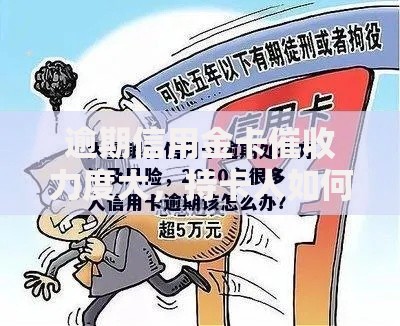 逾期信用金卡催收力度大，持卡人如何应对风险？