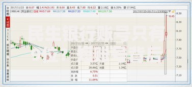 民生银行账号只有9位？短账号背后的安全逻辑解析