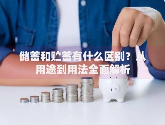 储蓄和贮蓄有什么区别？从用途到用法全面解析