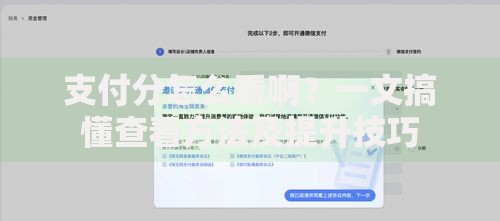 支付分怎么看啊？一文搞懂查看方法及提升技巧