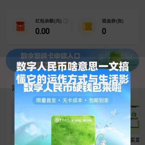数字人民币啥意思一文搞懂它的运作方式与生活影响