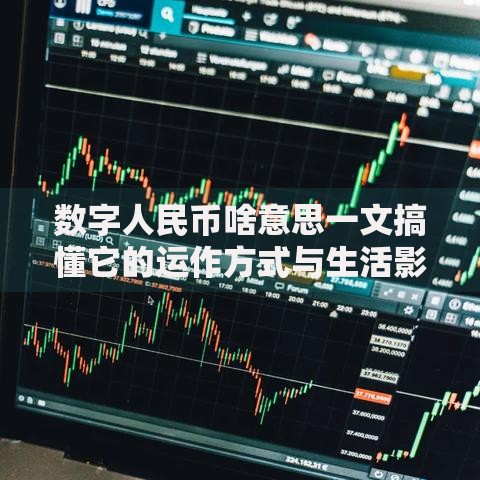 数字人民币啥意思一文搞懂它的运作方式与生活影响