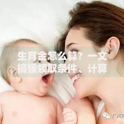 生育金怎么算？一文搞懂领取条件、计算公式和到账时间