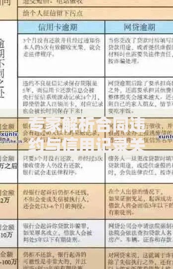 专家解析合同违约与信用记录关系：贷款审批如何评估风险？