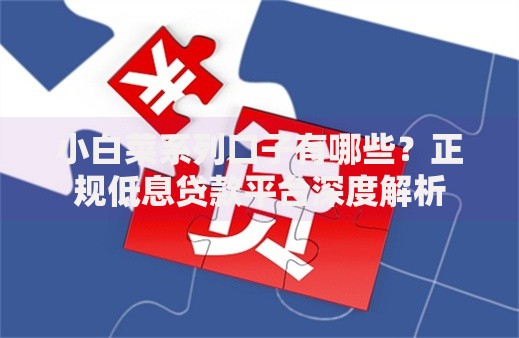 小白菜系列口子有哪些？正规低息贷款平台深度解析