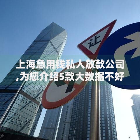 上海急用钱私人放款公司,为您介绍5款大数据不好平台可以借钱