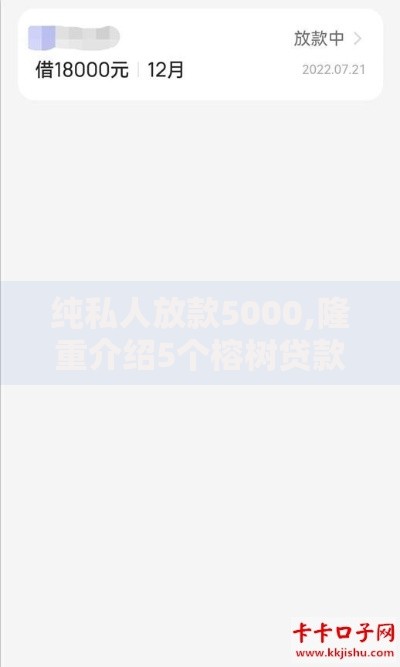 纯私人放款5000,隆重介绍5个榕树贷款是正规借款平台吗