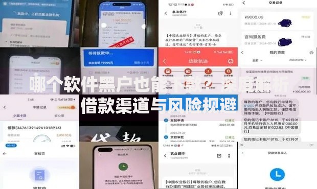 哪个软件黑户也能下款？深度解析借款渠道与风险规避
