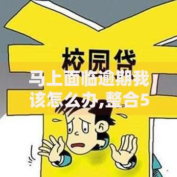马上面临逾期我该怎么办,整合5款500借款口子