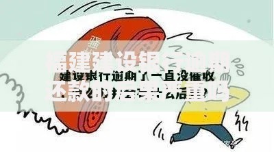 福建建设银行逾期还款的后果严重吗？会面临哪些风险？