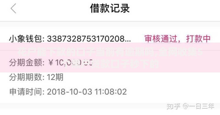 花户能下款的口子当前有逾期吗,全网收集5个黑户贷款口子秒下的